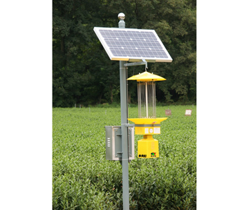 Solar insecticidal lamp